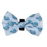 DOG COLLAR & BOW TIE: Whale, Hello There {FINAL SALE}