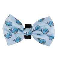 DOG COLLAR & BOW TIE: Whale, Hello There {FINAL SALE}