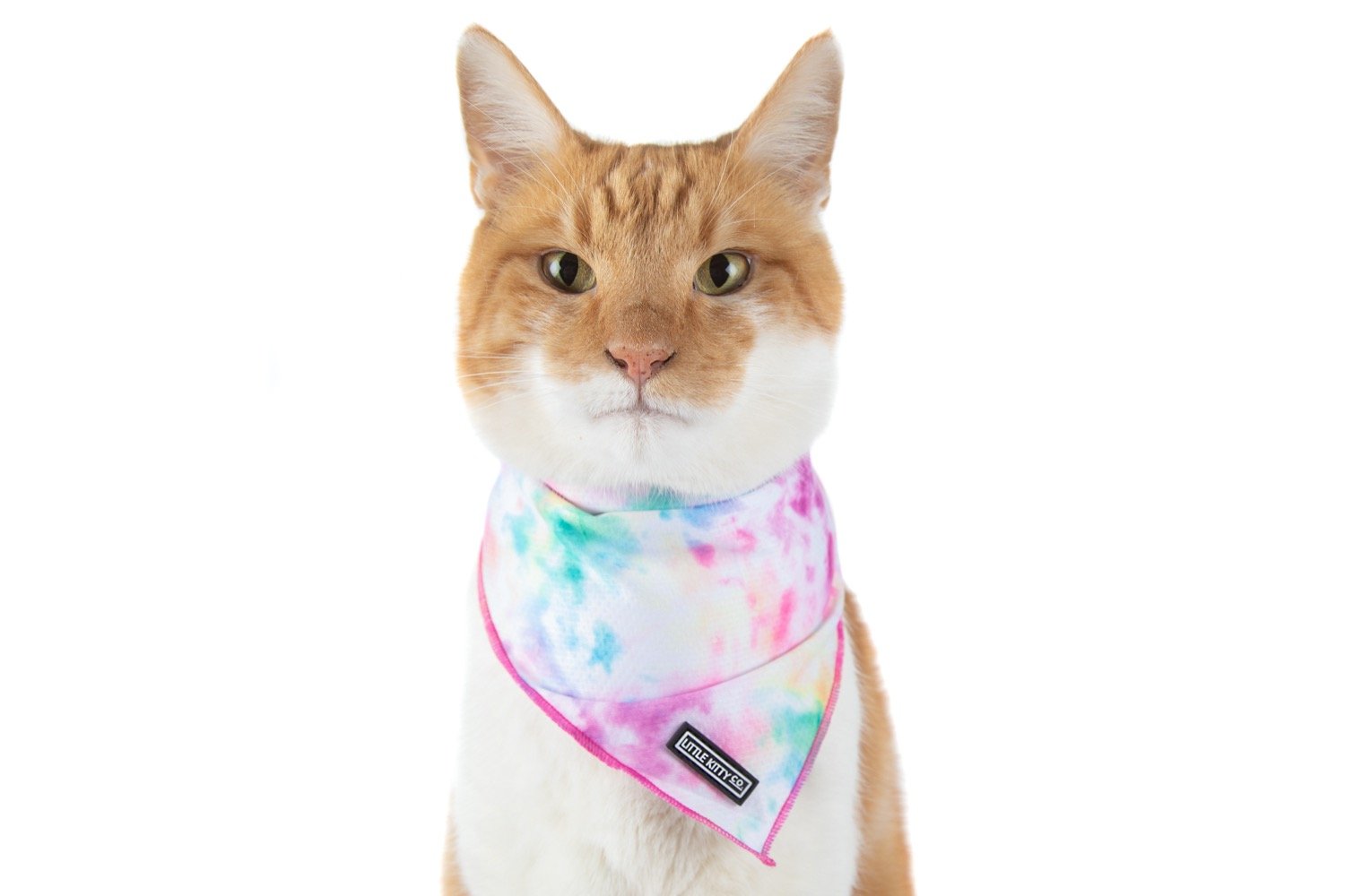 CAT BANDANA: Cotton Candy