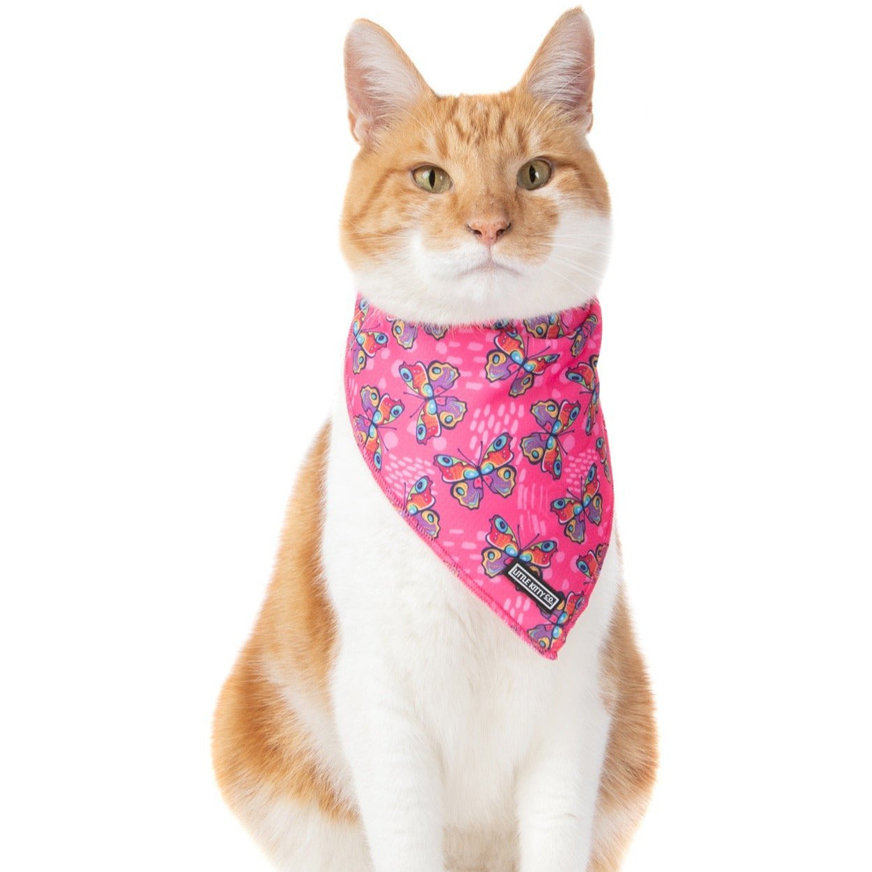 Cat Cooling Bandana Flutterly Fab