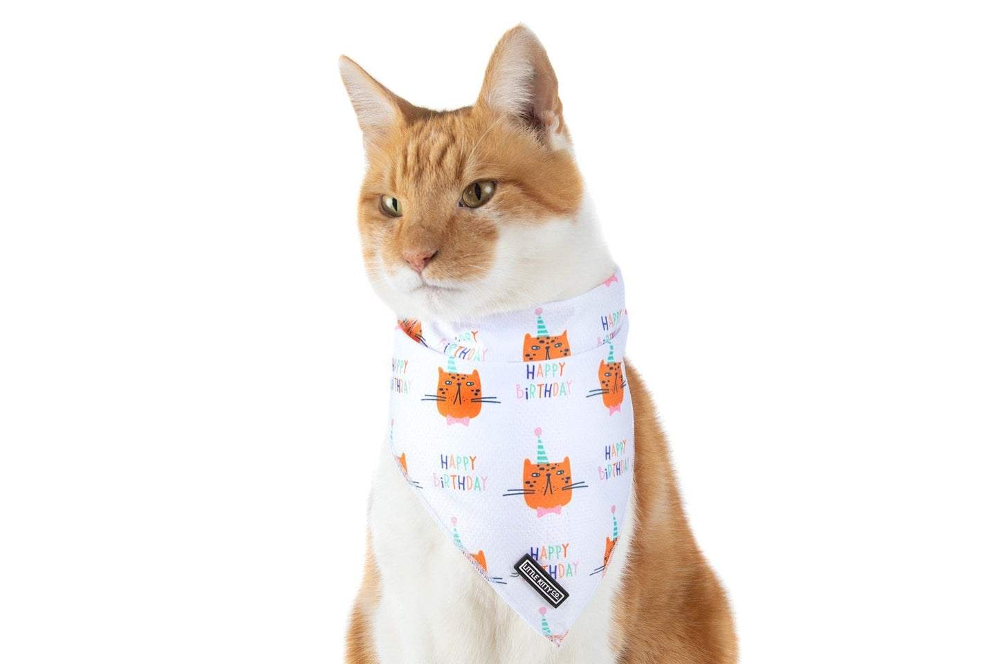 CAT BANDANA: Happy Birthday