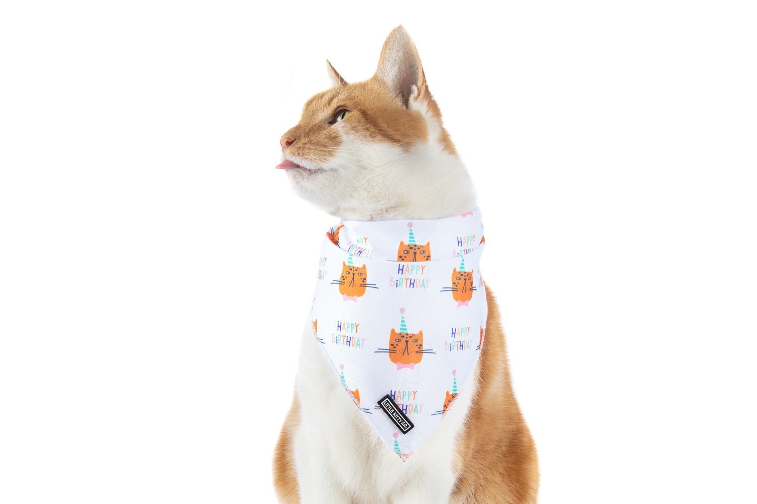 CAT BANDANA: Happy Birthday