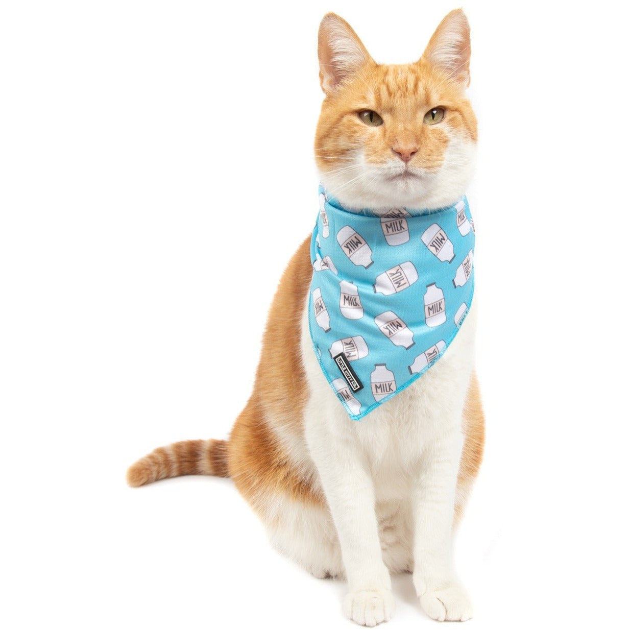 Cat Cooling Bandana Milk