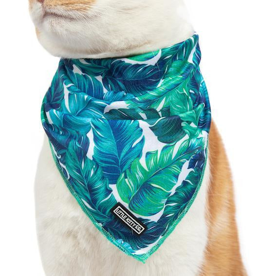 Cat Cooling Bandana Vacay Palms