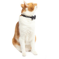 Cat Collar with Bow Tie and Black Bell Baddest of them All Black Cat Skulls