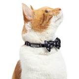 Cat Collar with Bow Tie and Black Bell Baddest of them All Black Cat Skulls