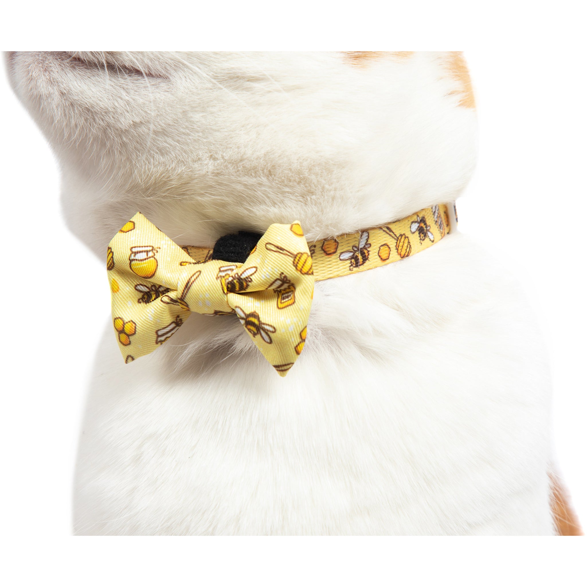 CAT COLLAR & BOW TIE: Bee-Hiving