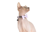 Cat Collar and Bow Tie Berry Purple Gingham