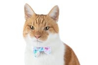 CAT COLLAR & BOW TIE: Cotton Candy