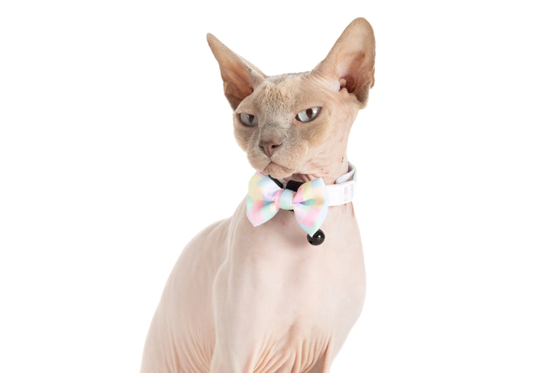 Cat Collar and Bow Tie Gelato Pastel Block Colour Print