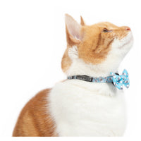 Cat Collar and Bow Tie Milk