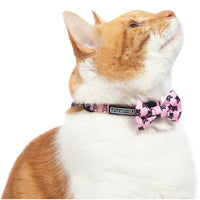 Cat Collar with Bow Tie and Black Bell Prettiest of them All Pink Cat Skulls