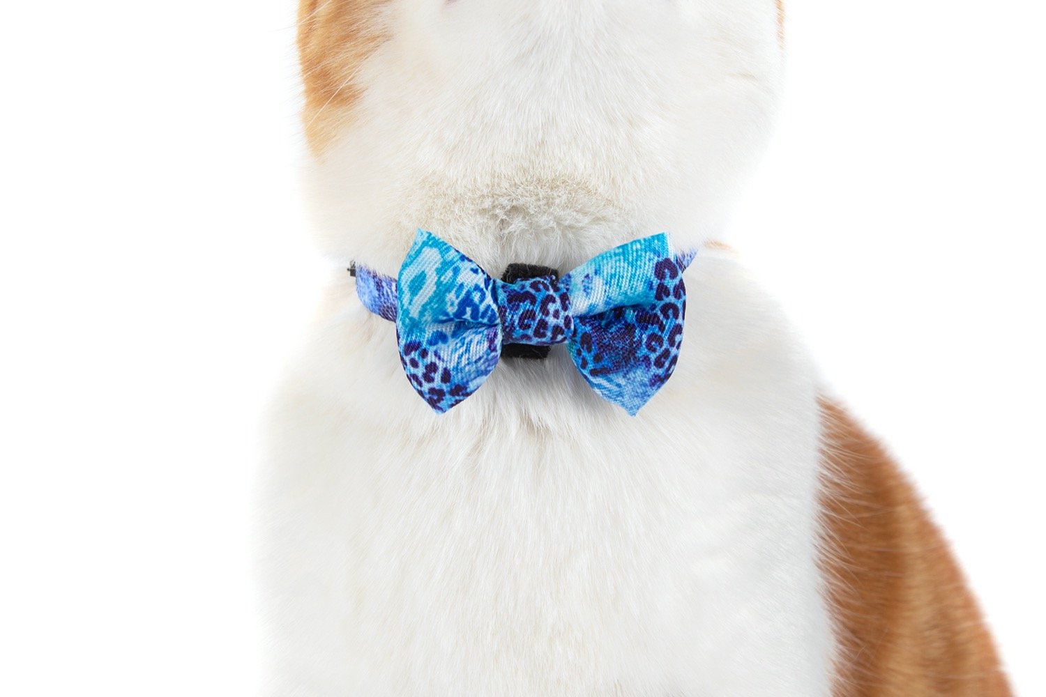 CAT COLLAR & BOW TIE: Snakeskin