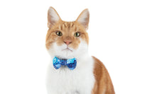 CAT COLLAR & BOW TIE: Snakeskin