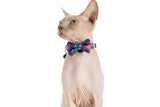 Cat Collar and Bow Tie Stop and Smell The Flowers Purple Floral Flowers