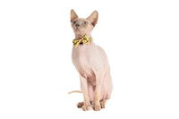 Cat Collar and Bow Tie Sunny Vibes Yellow Sunflowers Flowers