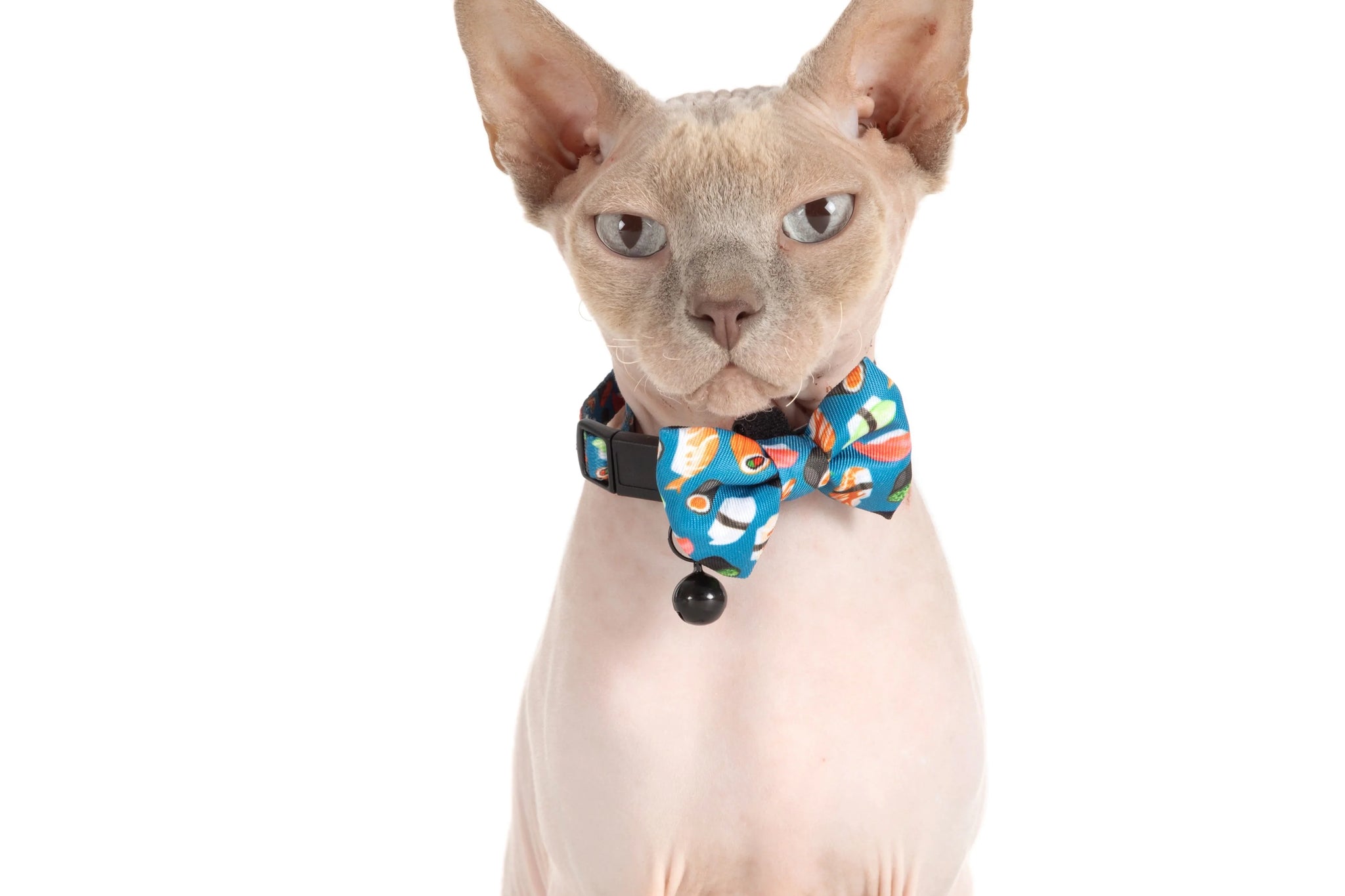 Cat Collar and Bow Tie Sushi Makes Miso Happy Sushi Sashimi Blue