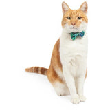 Cat Collar and Bow Tie Vacay Palms