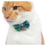 Cat Collar and Bow Tie Vacay Palms