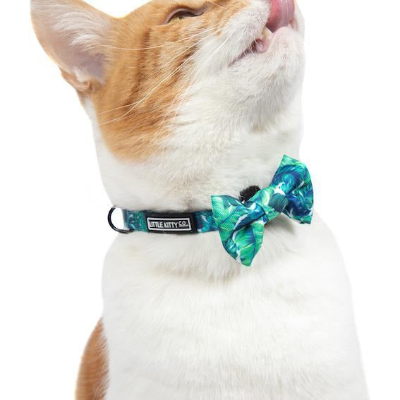 Cat Collar and Bow Tie Vacay Palms