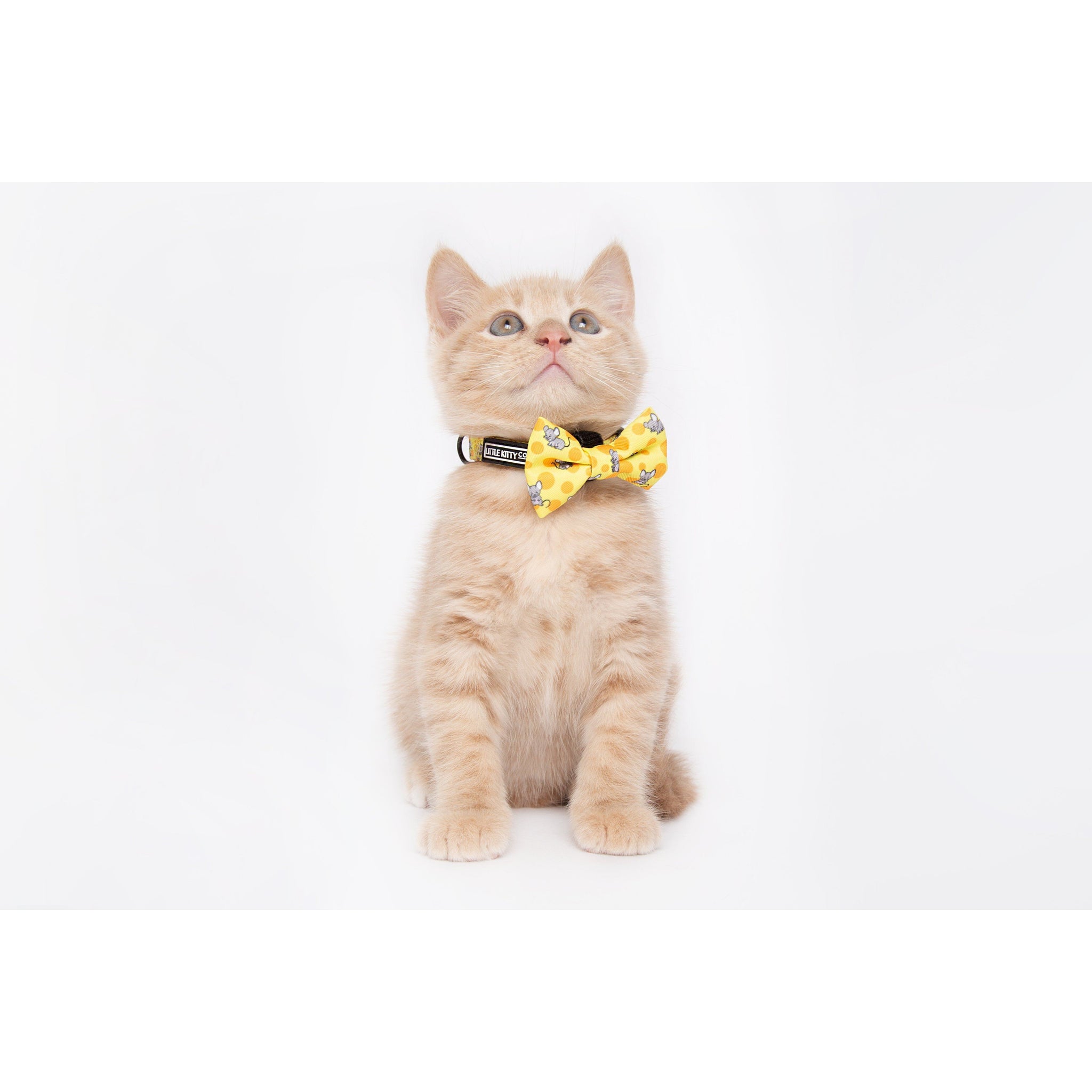 Cat Collar and Bow Tie Cheesin' Around Cat and Mice