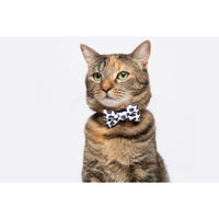 Cat Collar and Bow Tie Off Wild Cat Leopard Print