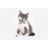 Cat Collar and Bow Tie Off Wild Cat Leopard Print