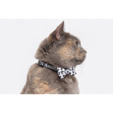 Cat Collar and Bow Tie Off Wild Cat Leopard Print