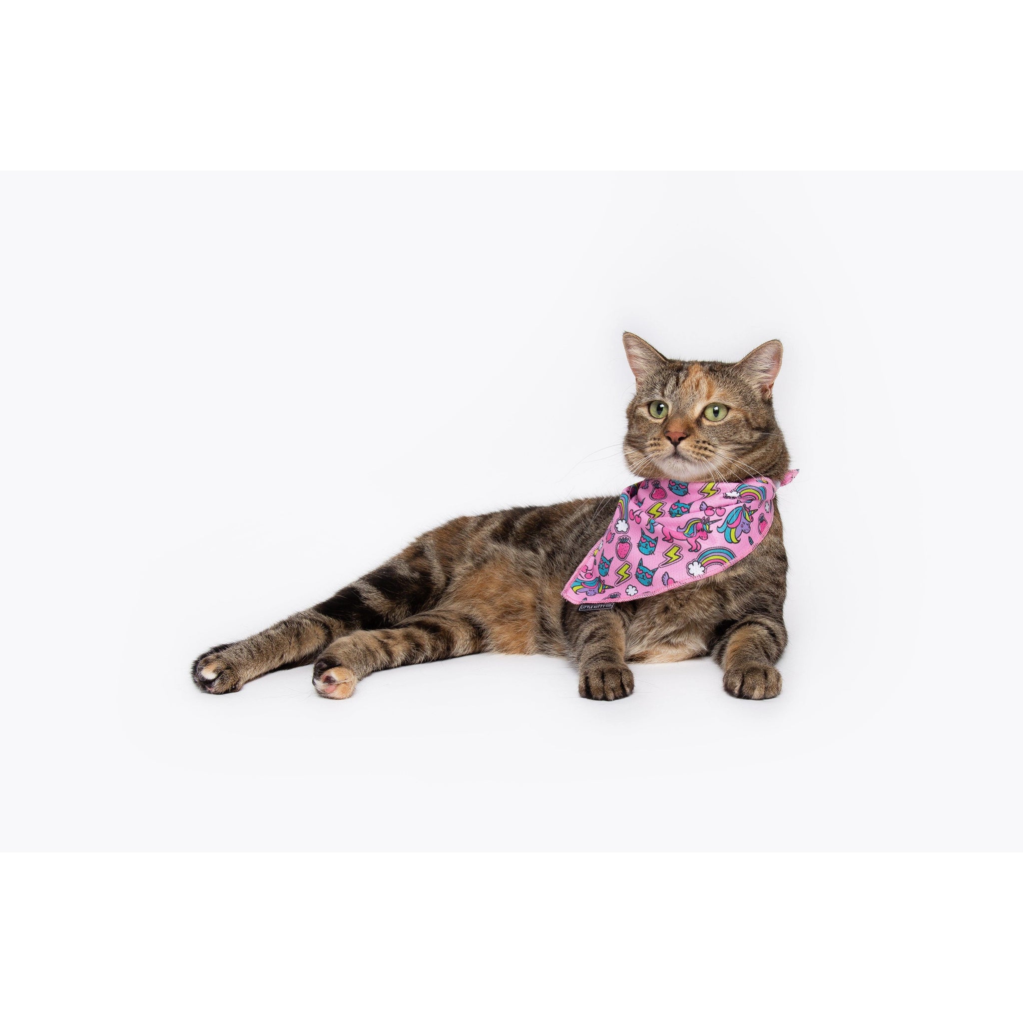 Cat Cooling Bandana Meow-gical Unicorns and Rainbows