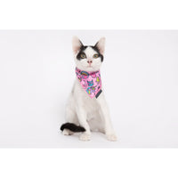 Cat Cooling Bandana Meow-gical Unicorns and Rainbows