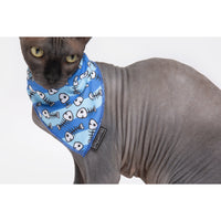 Cat Cooling Bandana Off The Hook Fish Skeleton Print