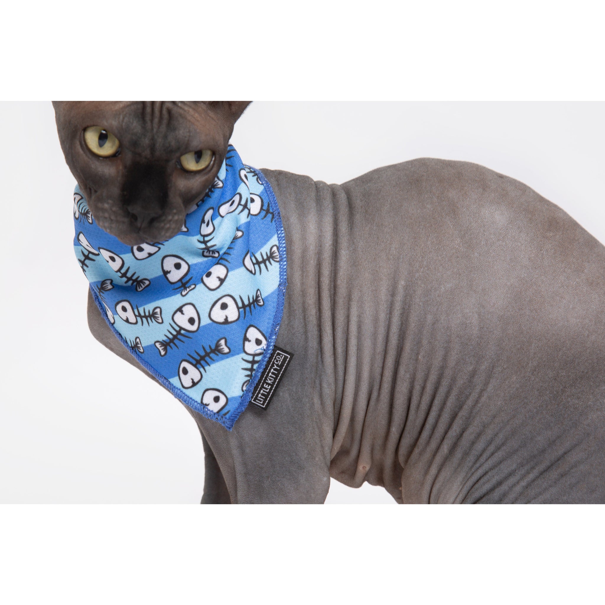 Cat Cooling Bandana Off The Hook Fish Skeleton Print