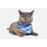 Cat Cooling Bandana Off The Hook Fish Skeleton Print