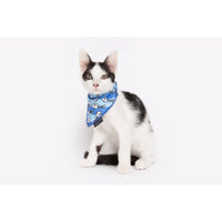 Cat Cooling Bandana Off The Hook Fish Skeleton Print