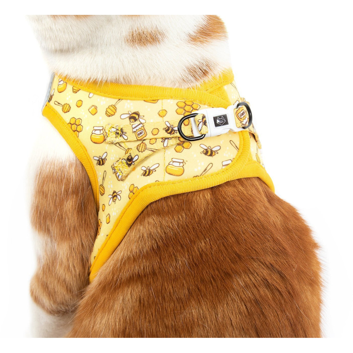 Cat Step In Harness Bee-Hiving