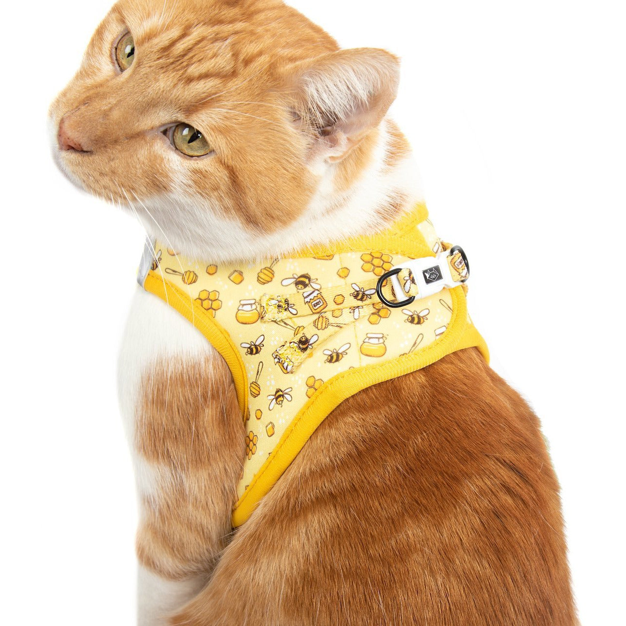 Cat Step In Harness Bee-Hiving