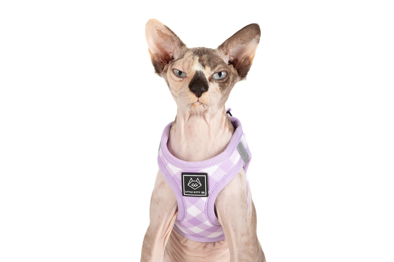 CAT STEP IN HARNESS: Berry Gingham
