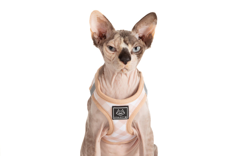 CAT STEP IN HARNESS: Latte Gingham