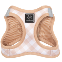 CAT STEP IN HARNESS: Latte Gingham