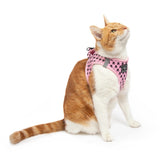 Cat Step In Harness Prettiest of them All Pink Cat Skulls