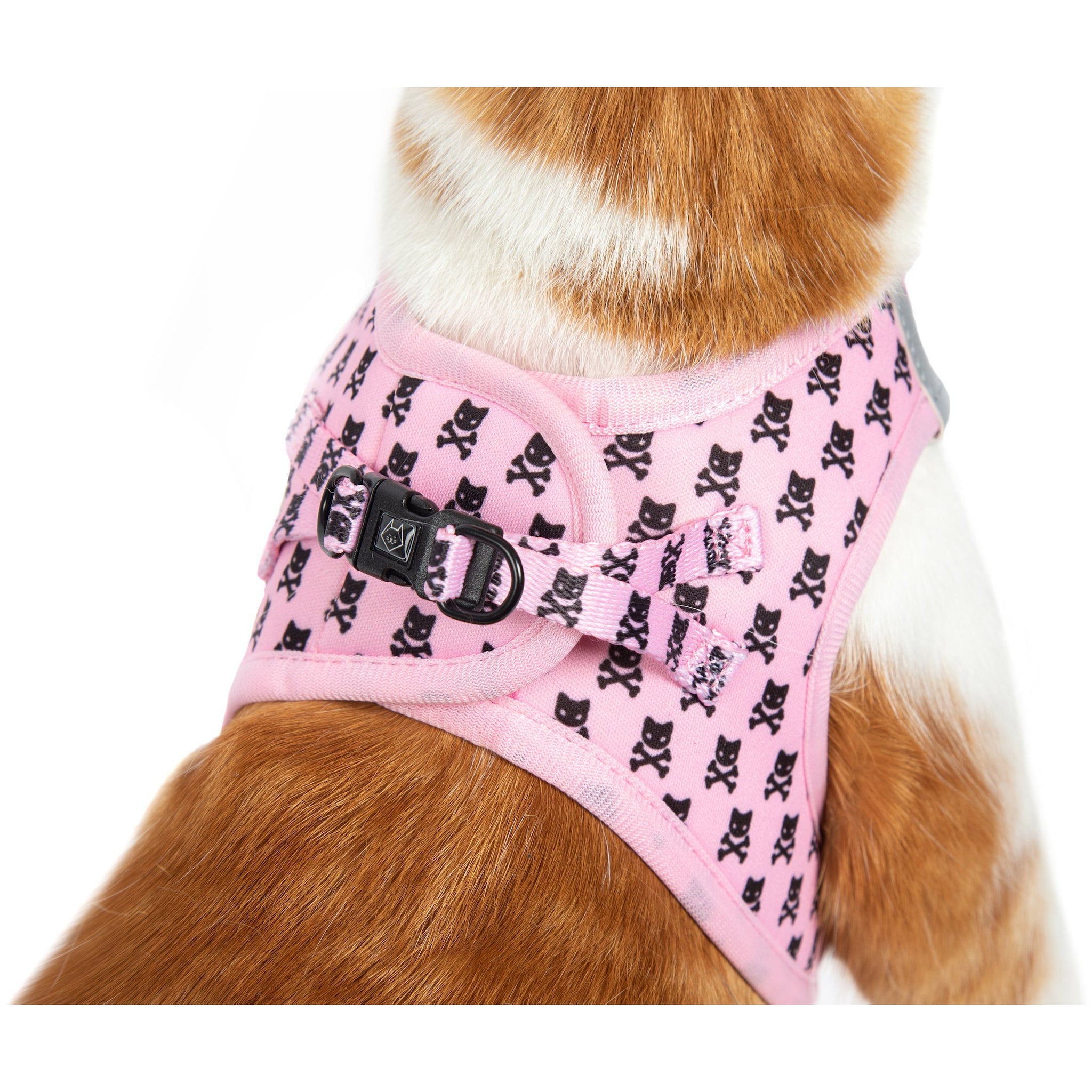 Cat Step In Harness Prettiest of them All Pink Cat Skulls