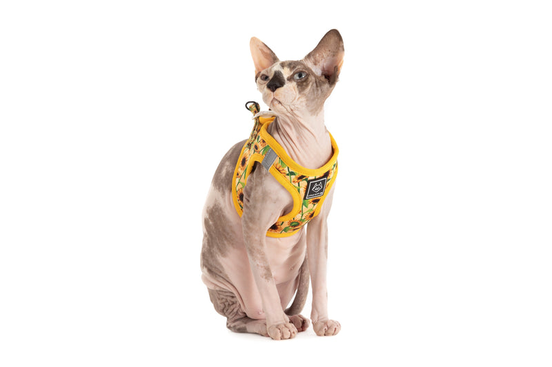 CAT STEP IN HARNESS: Sunny Vibes