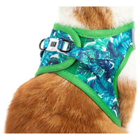 Cat Step In Harness Vacay Palms