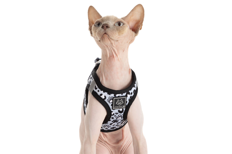 CAT STEP IN HARNESS: Wild Paws