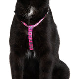 Cat Strap Harness Flutterly Fab