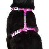 Cat Strap Harness Flutterly Fab