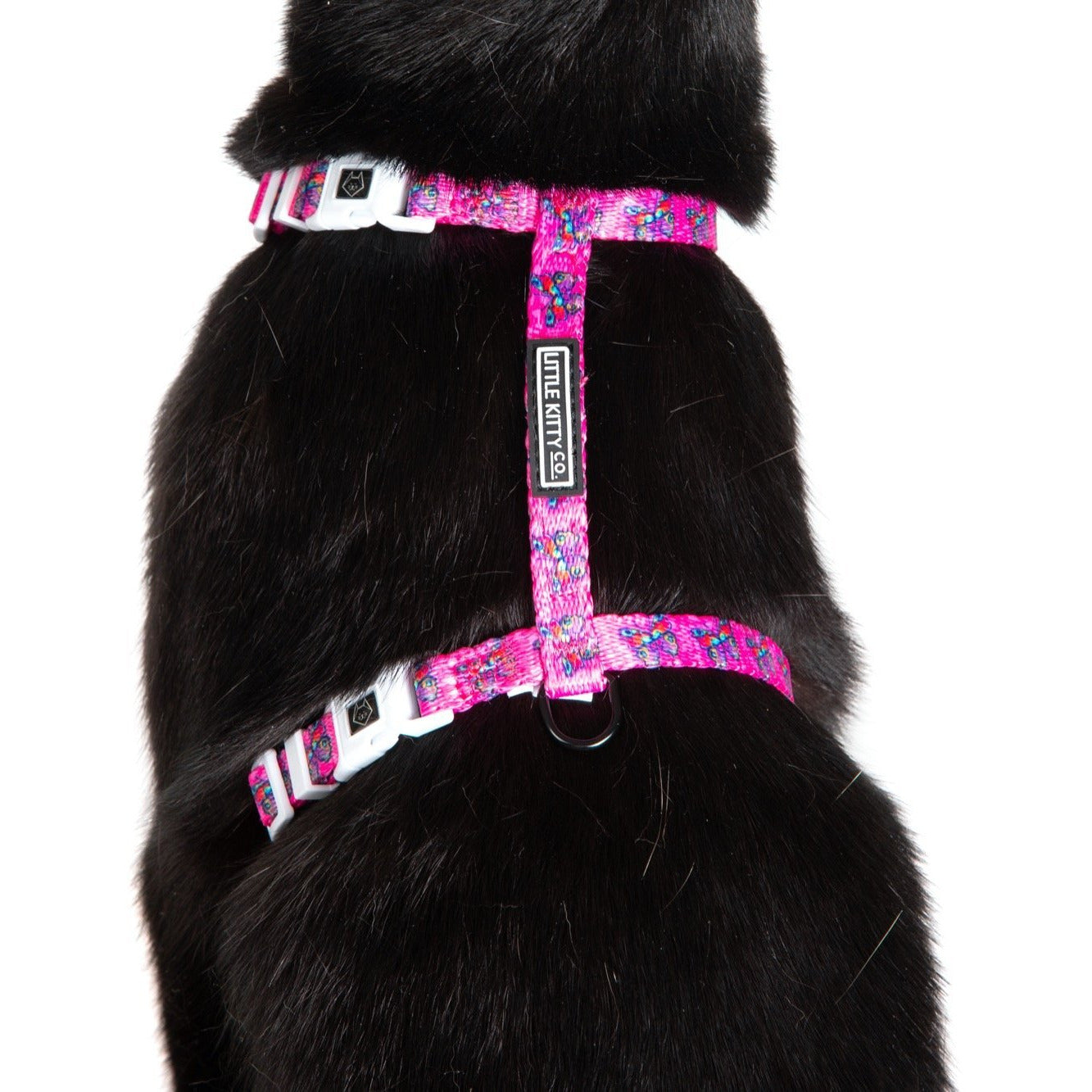 Cat Strap Harness Flutterly Fab