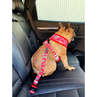 Dog Car Restraint Cherryicious Cherries