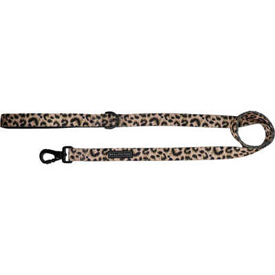 Comfort Dog Leash Luxurious Leopard