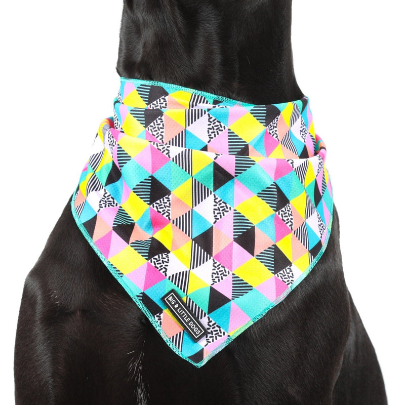 Dog-Cooling-Bandana-All-Sorts-Geometric-Pattern